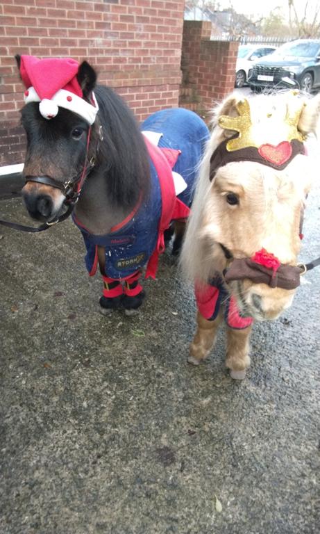 visit from Shetland ponies