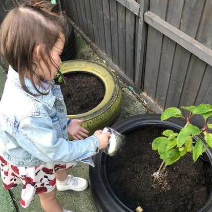 Growing our own fruit