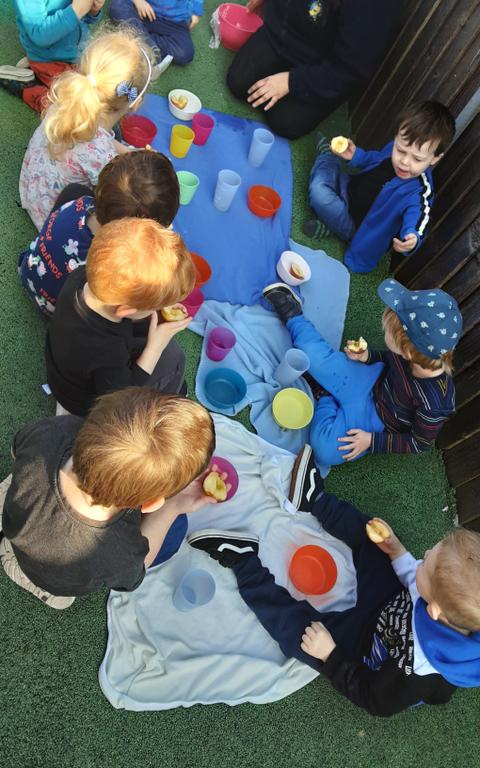 Picnic in our outdoors area